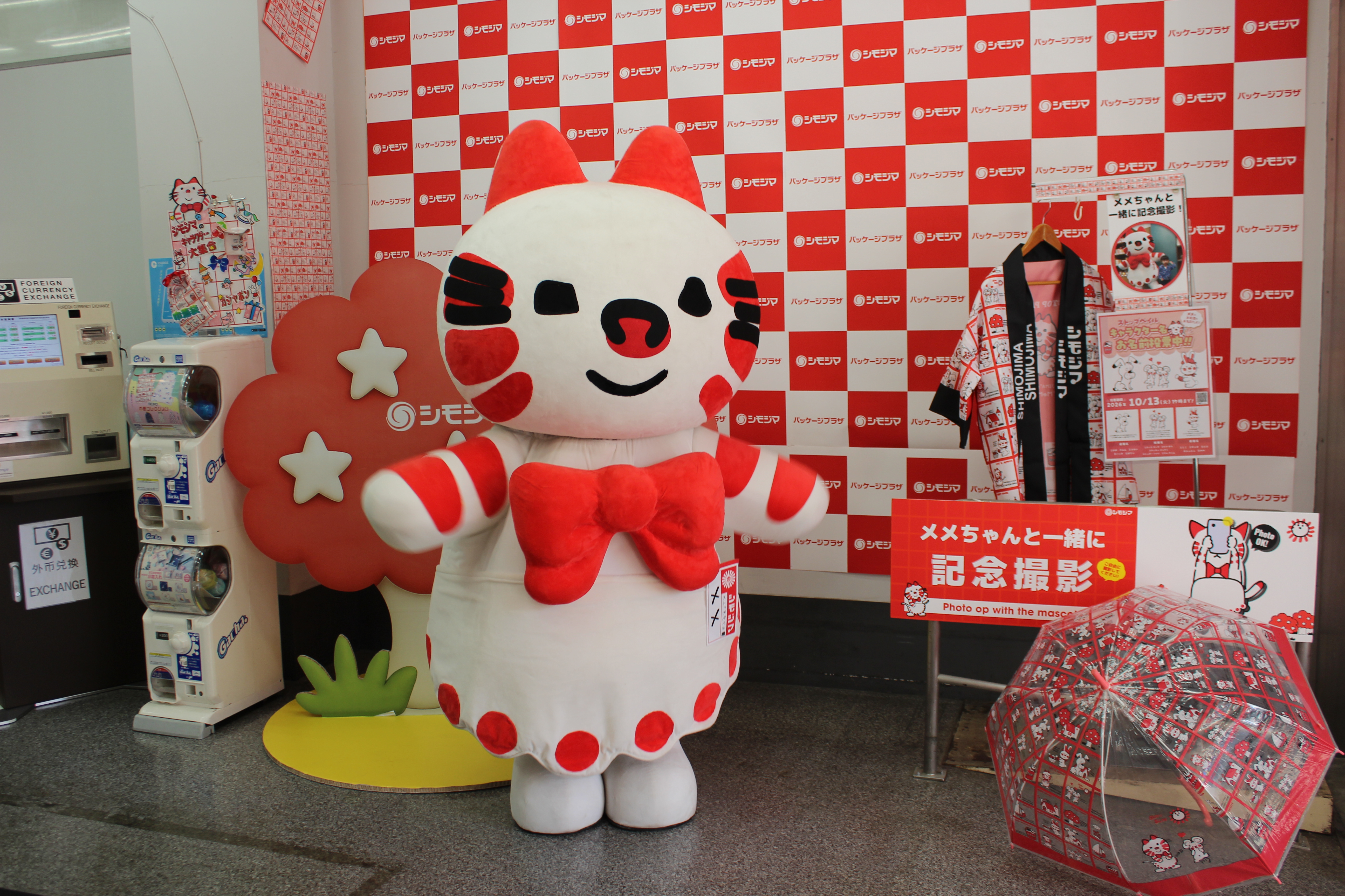 10月9日・10日にメメちゃんイベントをかっぱ橋店にて開催しました！