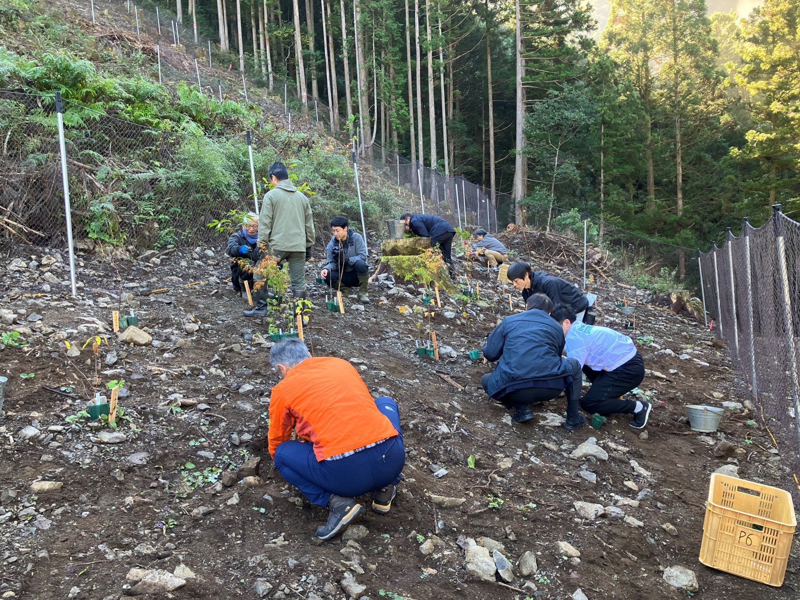 植樹作業の様子
