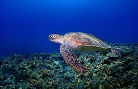 海洋環境保全